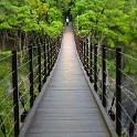 IMG 0074-1