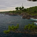 IMG 0083
