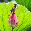 IMG 0508