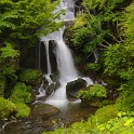 IMG 9485