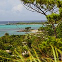 IMG 3245