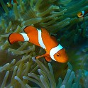 P1020941 (2)