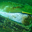 P1010885