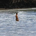 IMG 7659