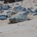 IMG 7701