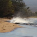 IMG 7719