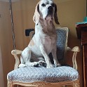 IMG 20230916 082837