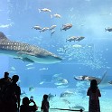 IMG 20241030 113057