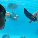 IMG 20241030 131847