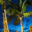 IMG 20241101 181607