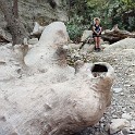 IMG 20240918 130709