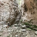IMG 4578