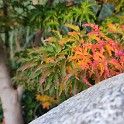 IMG 20251112 083619