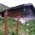 IMGP0854