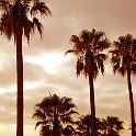 CIMG0094