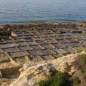 IMG 0508
