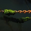 IMG 0743