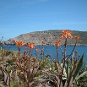 Menorca2004 0420 120242AA