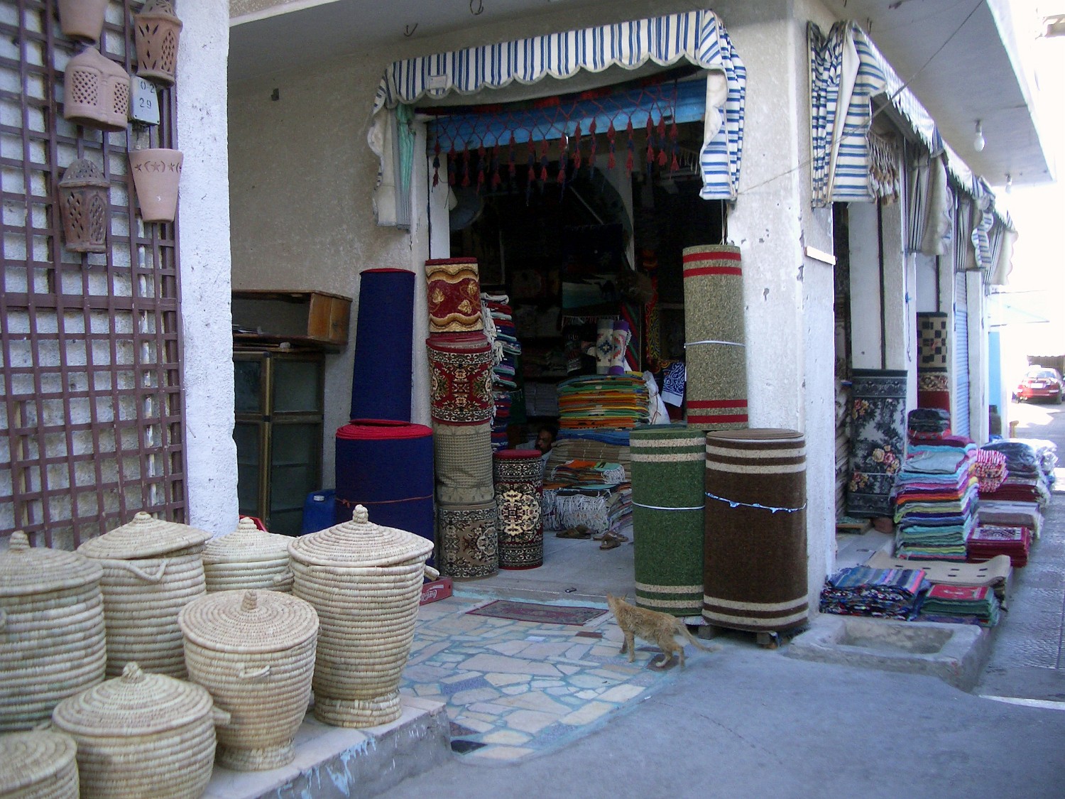 IMGP3422