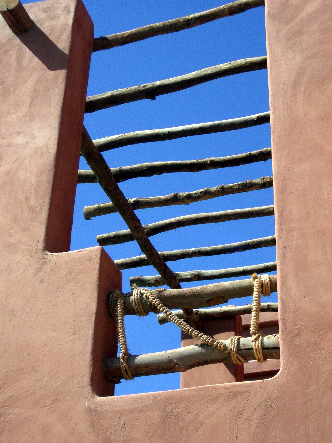 IMGP3441