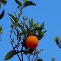 IMG 5159