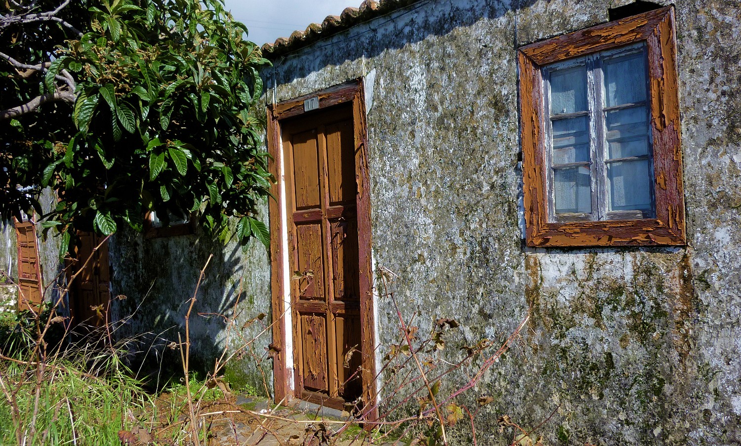 P1040881