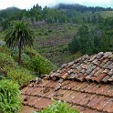P1040983