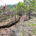 IMG 0279