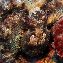 IMG 0394 1