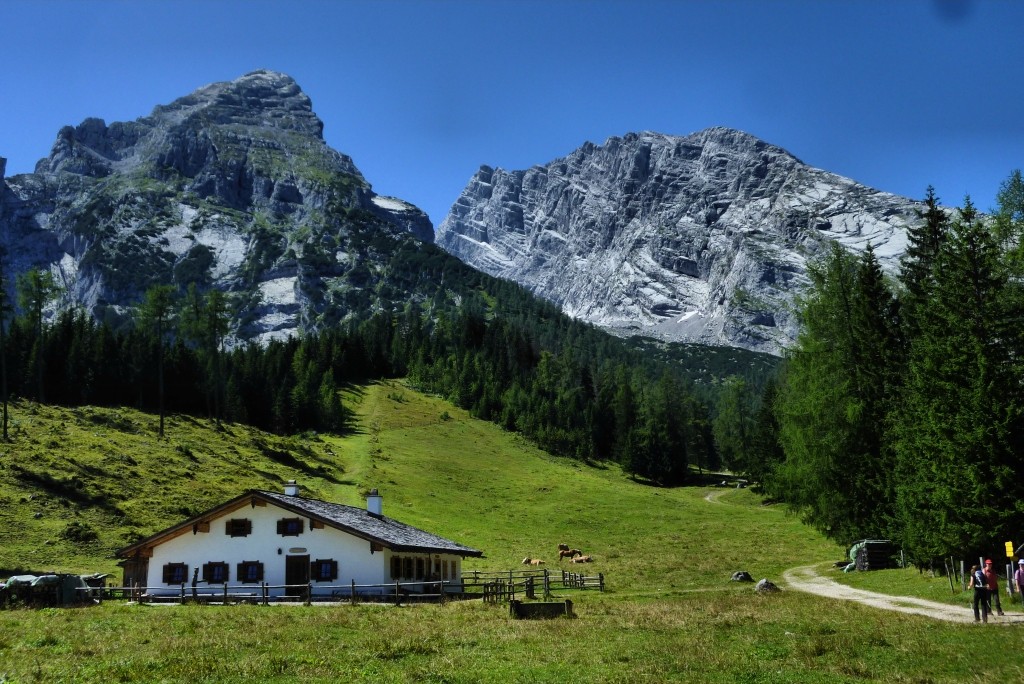 P1060647