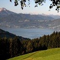 IMG 3801
