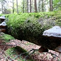 IMG 4210