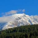 IMG 4271