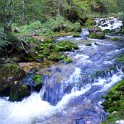 P1060699