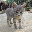 IMG 0880