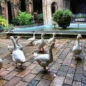 IMG 7055