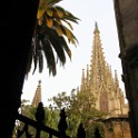 IMG 7058