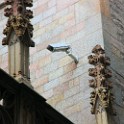 IMG 7177