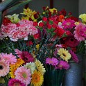 IMG 6768