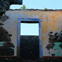 IMG 6887