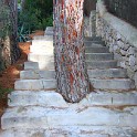 IMG 3008