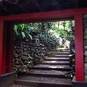 IMG 3564