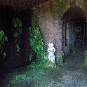 IMG 3569