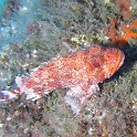 IMG 3683