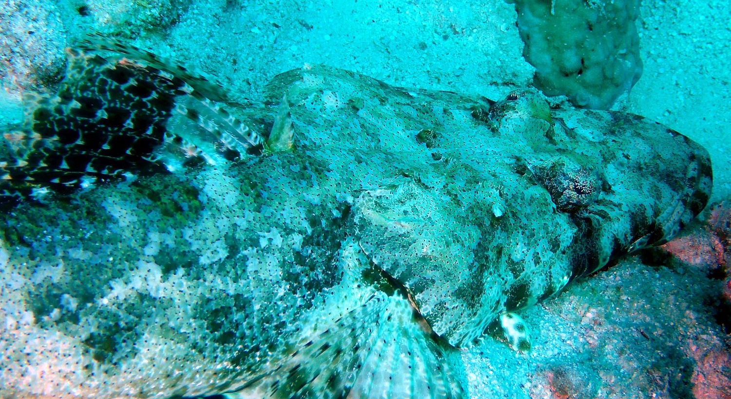 P1000840