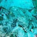 P1000840