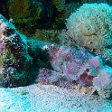 P1000969