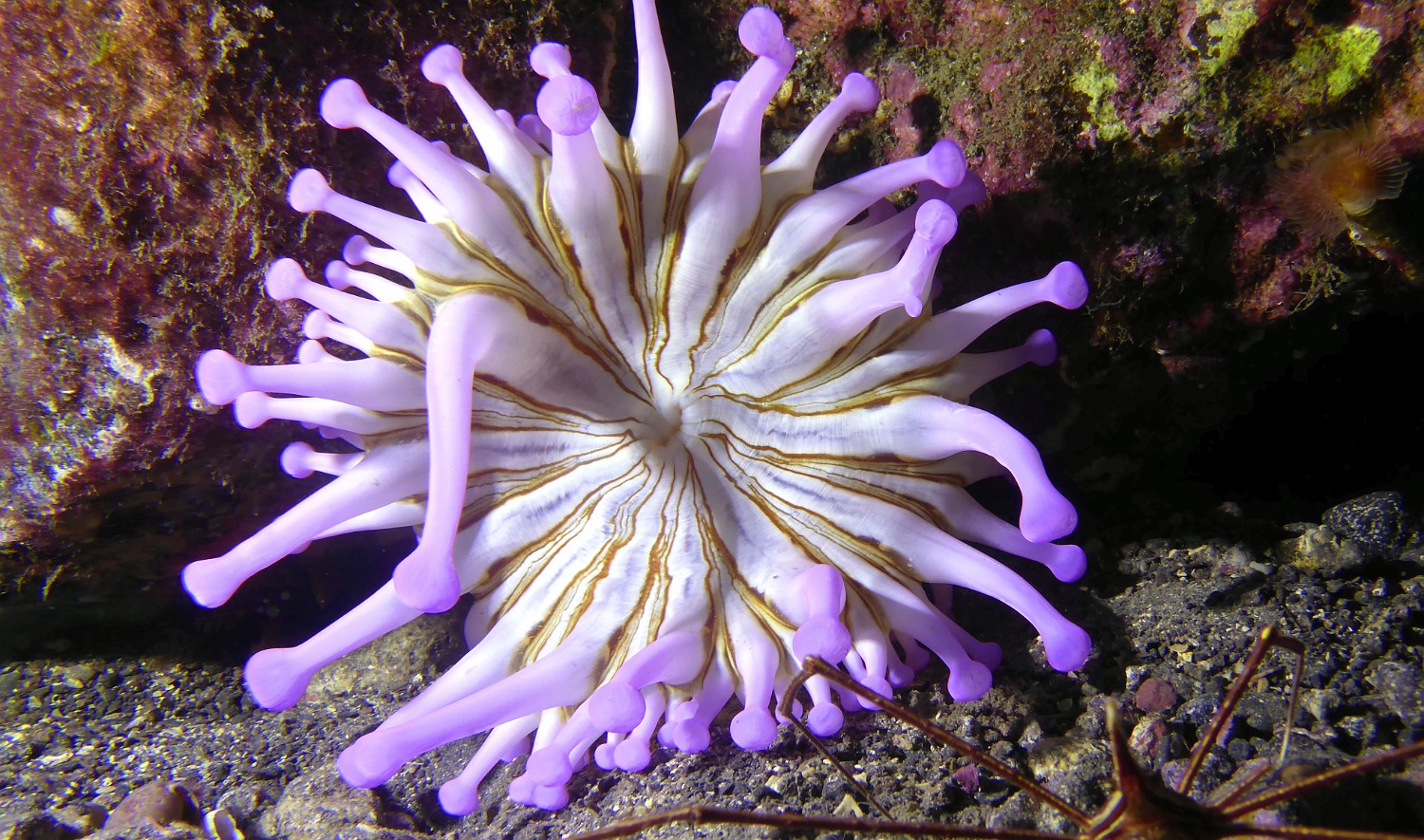 P1000992
