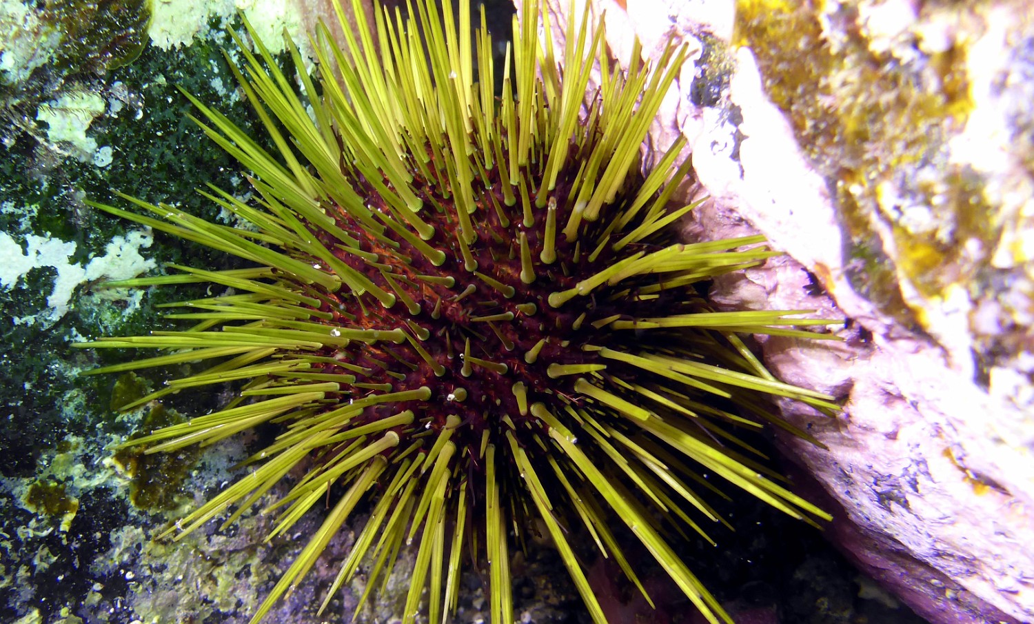 P1000996
