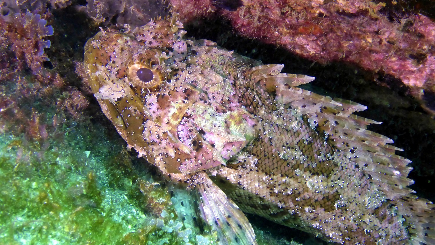 P1010040
